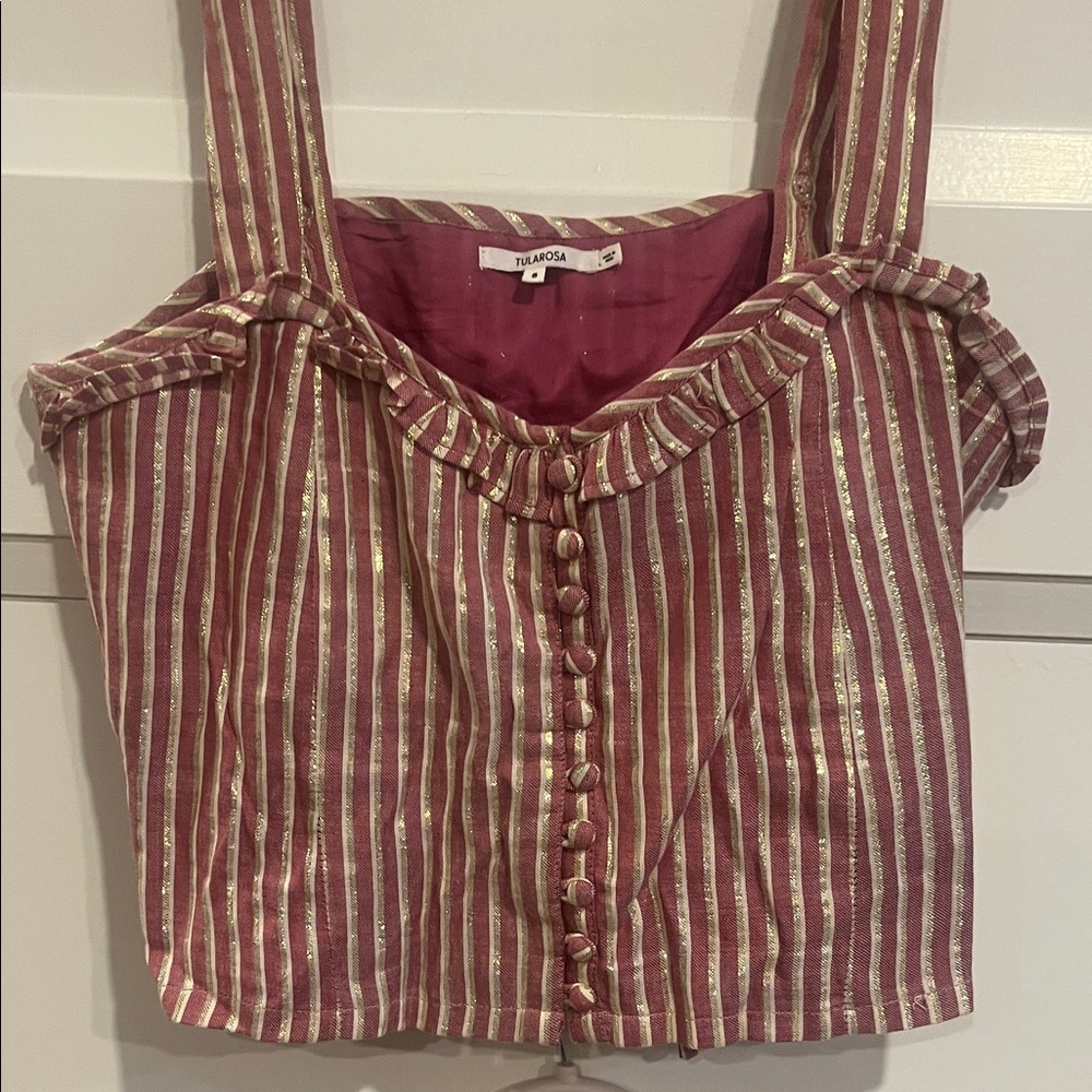 Tularosa Pink and Gold Striped Crop Top